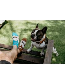 Șosete Bulldog Veseli - gleznă