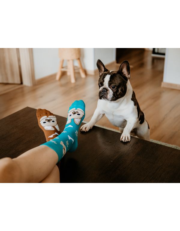 Șosete Bulldog Veseli
