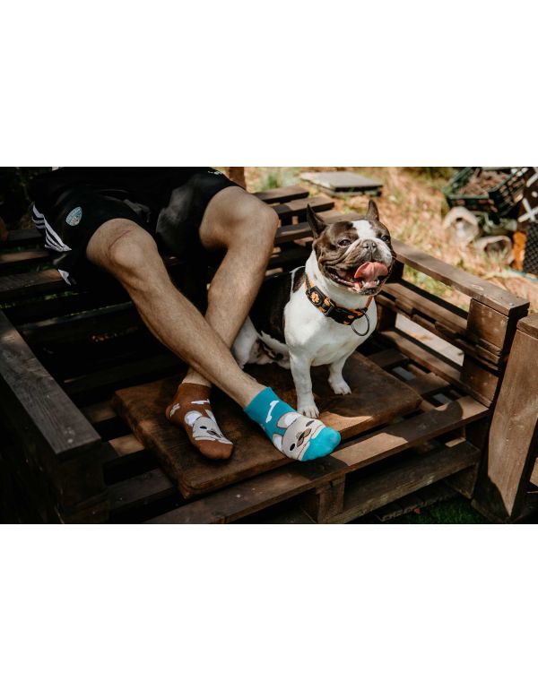 Șosete Bulldog Veseli - gleznă