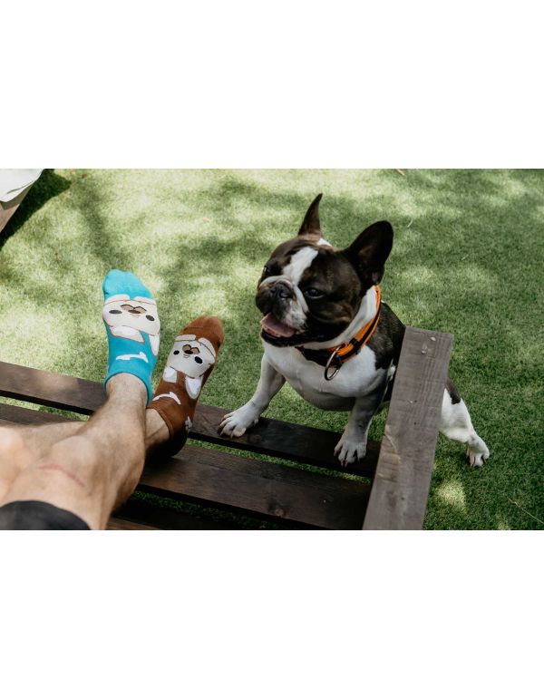 Șosete Bulldog Veseli - gleznă