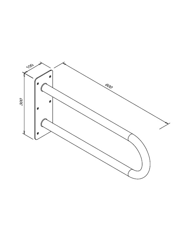 Bară cu arc fix pentru persoanele cu dizabilități fizice, 600 mm, oțel inoxidabil satinat