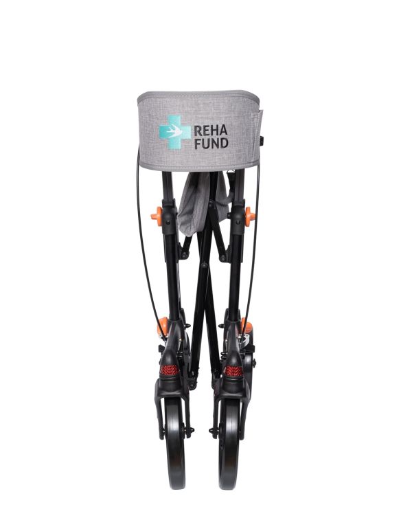 Mergător pe patru roți Berlin